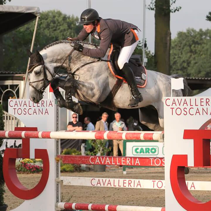La Dolfina Jumping, Chacoon Blue