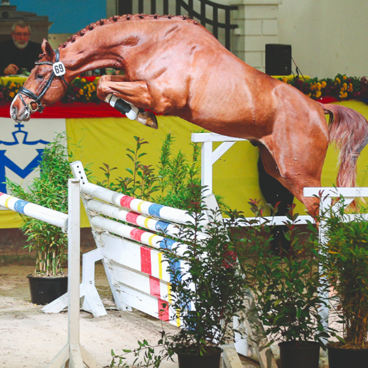 La Dolfina Jumping, Casallco